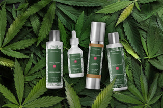 TANG HEMP - BEAUTY